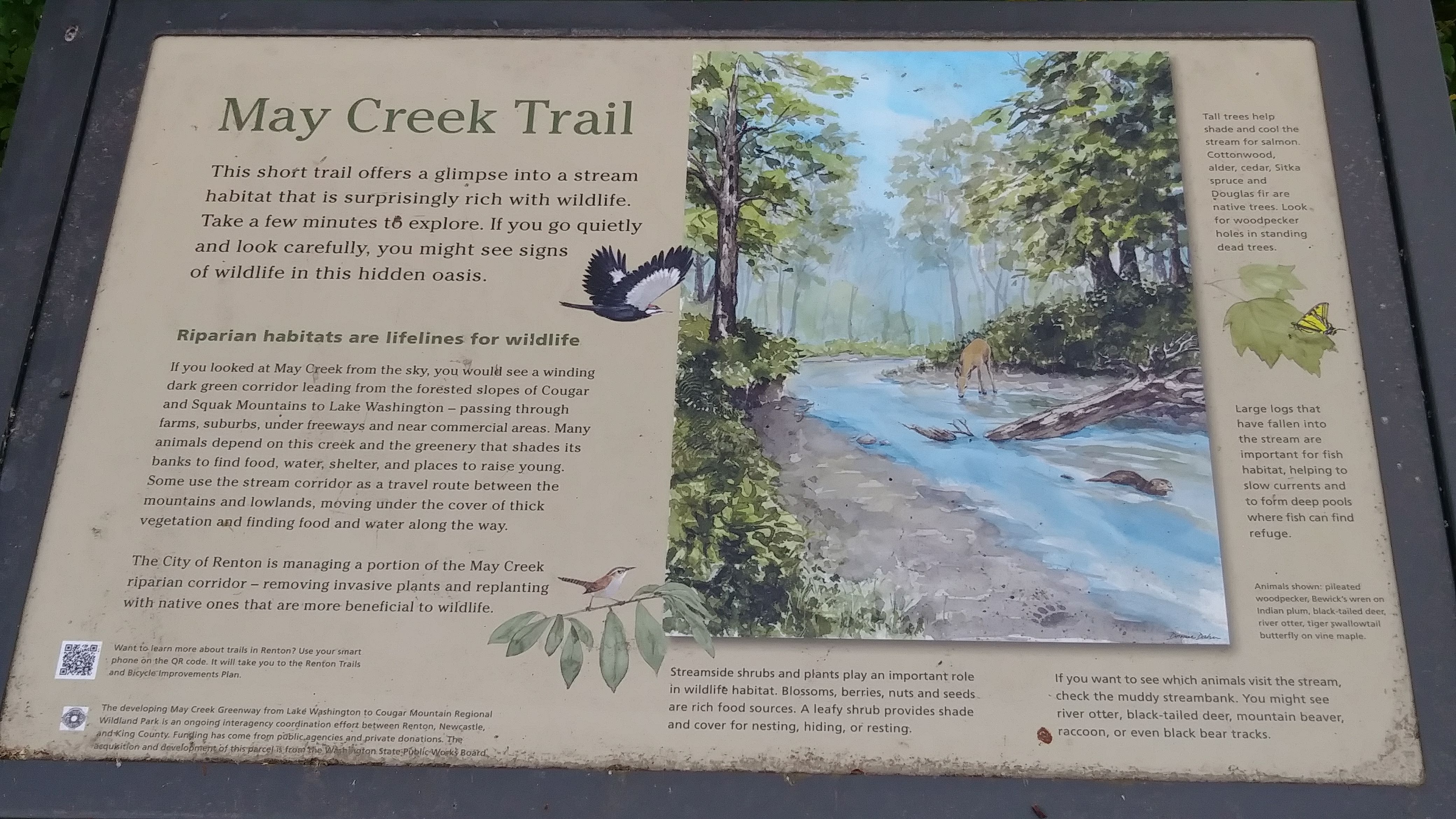 ../images/trails/may_creek_west//02 Interpretive Sign.jpg